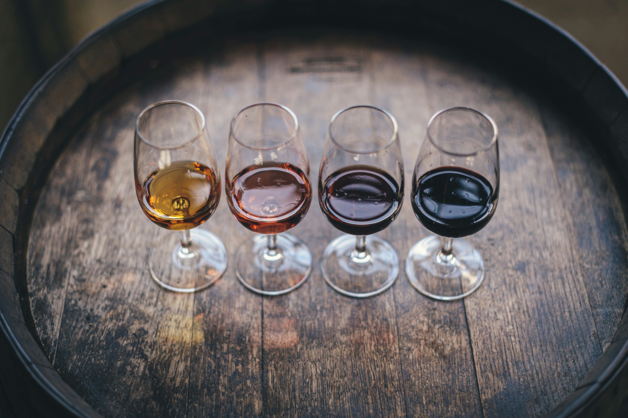 Wine tasting in rural Spain